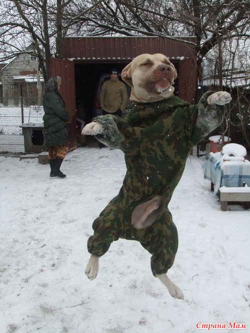 Прогулка по снежку