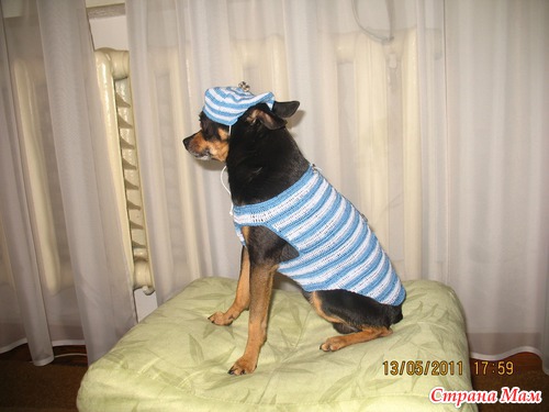 Чарлик в костюме юнги