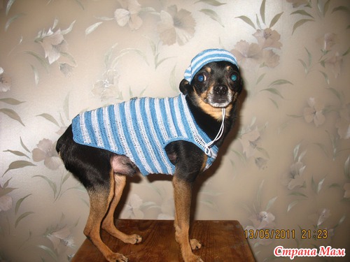 Чарлик в костюме юнги