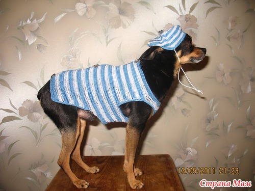 Чарлик в костюме юнги