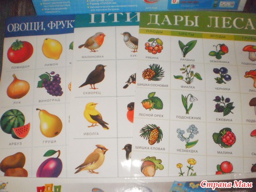 Скромненько и со вкусом. Хвастик.