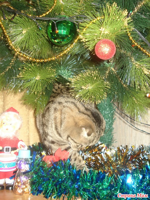 Новый год?! А как же я?