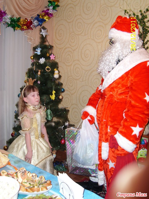 Встреча Нового 2012 года!!!