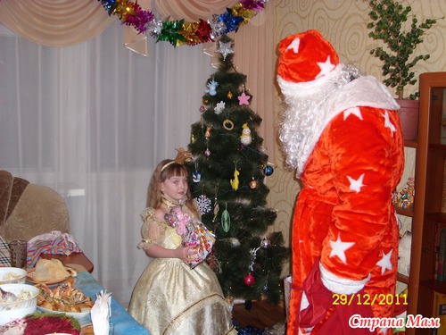 Встреча Нового 2012 года!!!