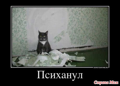 Немного юмора.