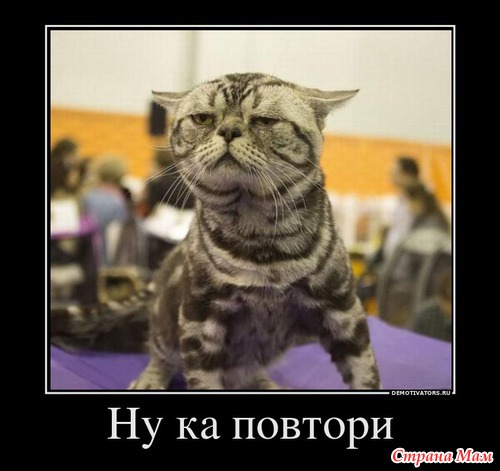 Немного юмора.