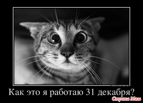 Немного юмора.