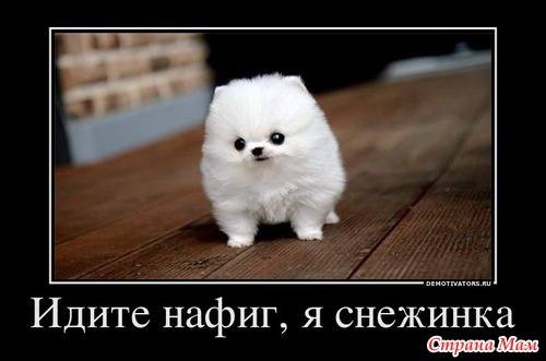Немного юмора.