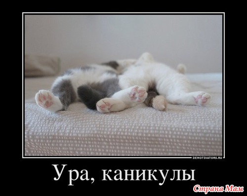 Немного юмора.