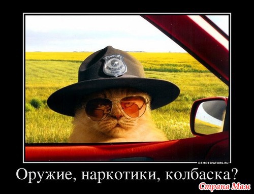 Немного юмора.