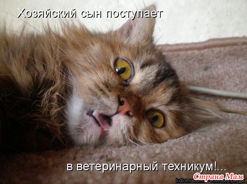 Еще по улыбаемся?