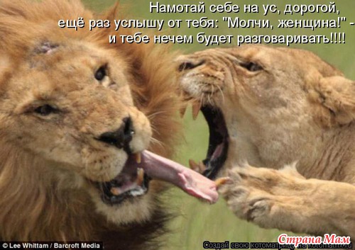 Еще по улыбаемся?