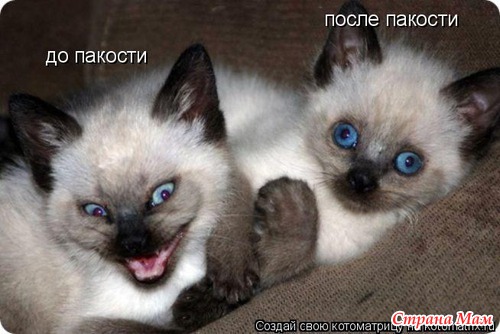 Еще по улыбаемся?