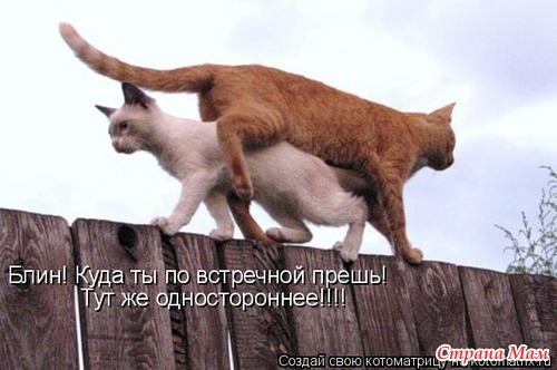 Еще по улыбаемся?