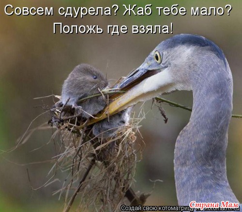 Еще по улыбаемся?