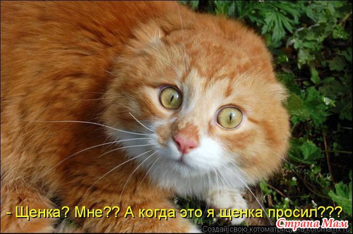 Еще по улыбаемся?