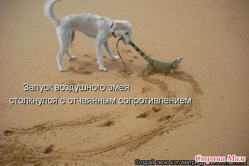 Еще по улыбаемся?