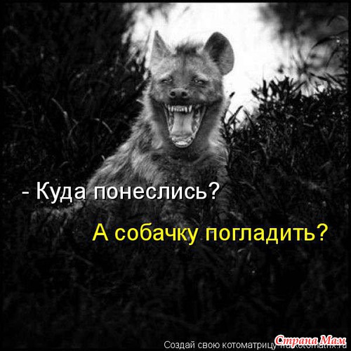 Еще по улыбаемся?