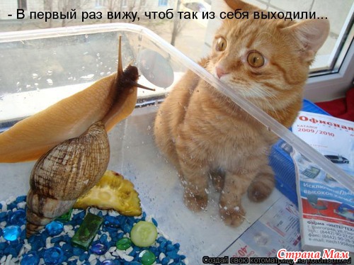 Еще по улыбаемся?