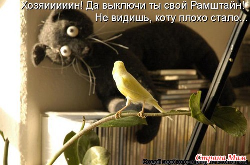 Еще по улыбаемся?