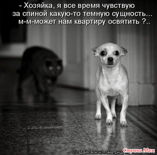 Еще по улыбаемся?