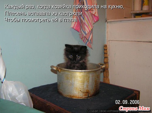 Еще по улыбаемся?