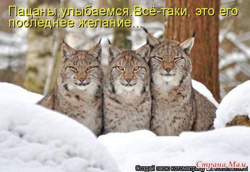 Еще по улыбаемся?