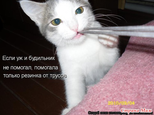 Еще по улыбаемся?