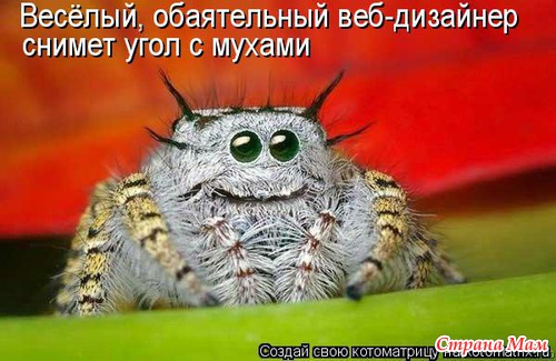 Улыбнись! (продолжение)