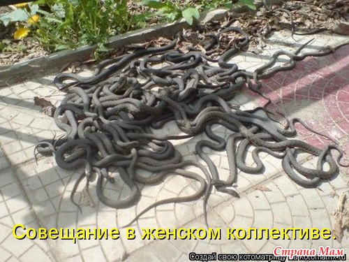 Улыбнись! (продолжение)