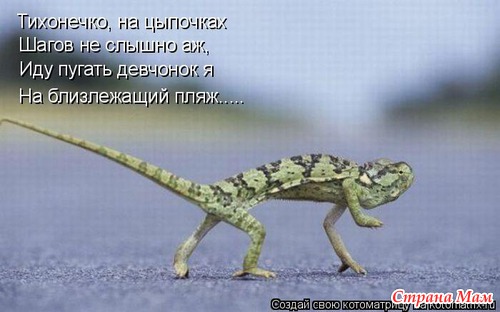 Улыбнись! (продолжение)
