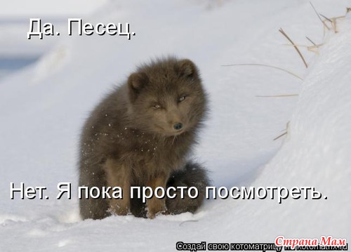 Улыбнись! (продолжение)