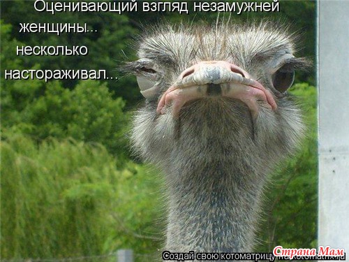 Улыбнись! (продолжение)