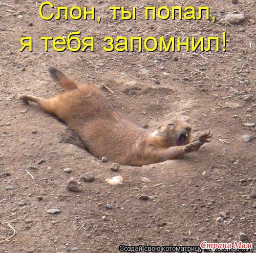 Улыбнись! (продолжение)