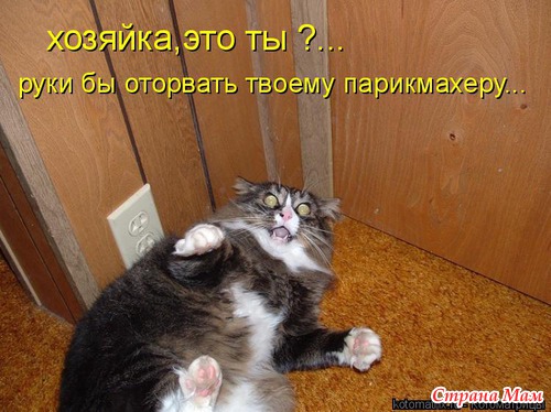 Улыбнись! (продолжение)