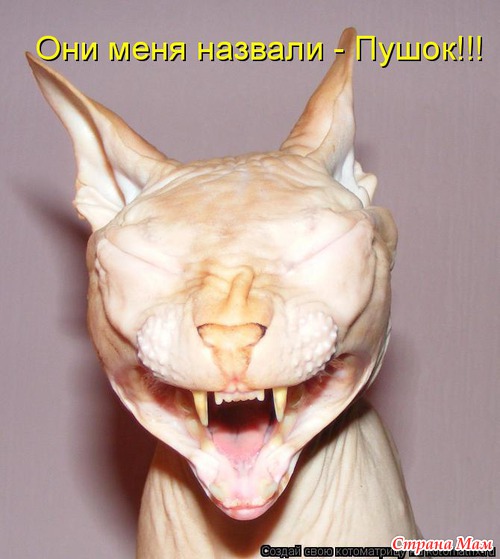 Улыбнись! (продолжение)