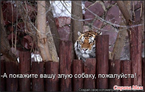 Улыбнись! (продолжение)