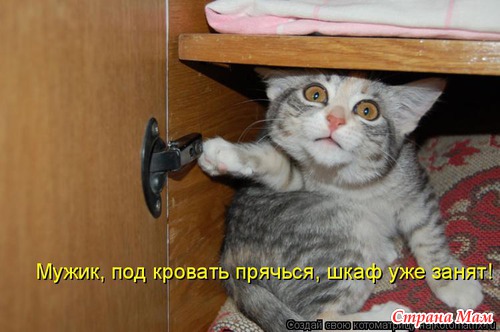 Улыбнись! (продолжение)
