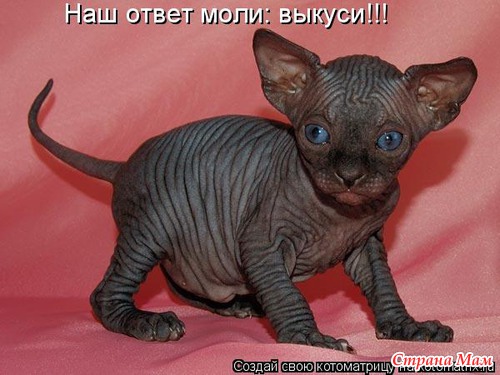 Улыбнись! (продолжение)