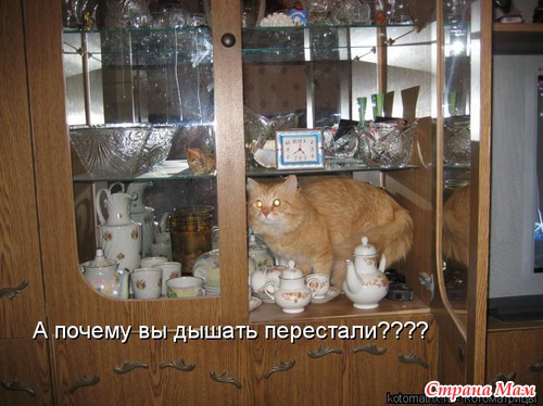 Улыбнись! (продолжение)