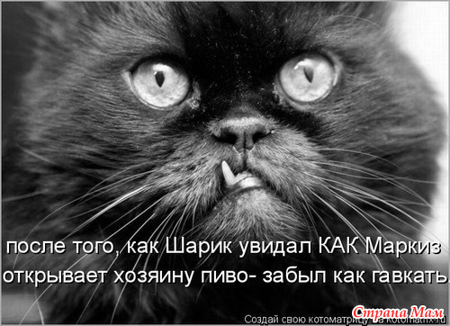 Улыбнись! (продолжение)