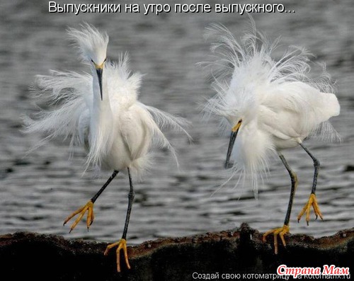 Улыбнись! (продолжение)