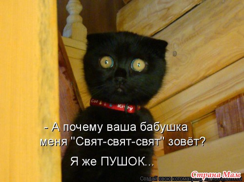 Улыбнись! (продолжение)