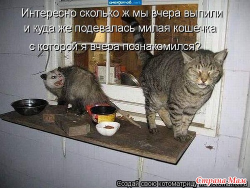 Улыбнись! (продолжение)