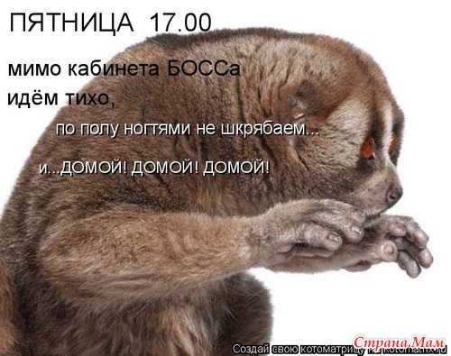 Улыбнись! (продолжение)