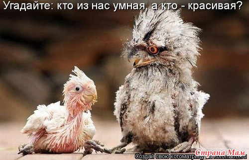 Улыбнись! (продолжение)