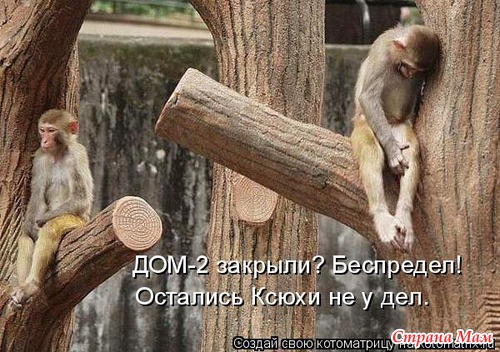 Улыбнись! (продолжение)