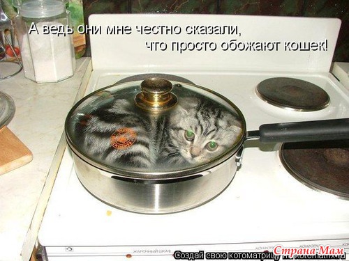 Улыбнись! (продолжение)