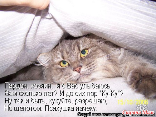 Улыбнись! (продолжение)