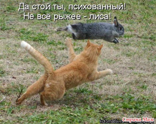 Улыбнись! (продолжение)
